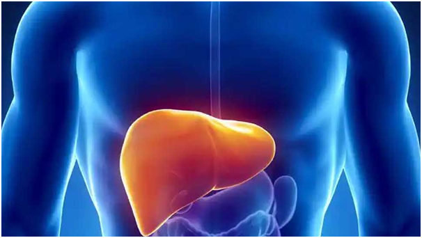 How To Manage Minor Liver Issues Naturally At Your Home